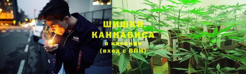 магазин продажи   Валдай  mega ССЫЛКА  Канабис White Widow 